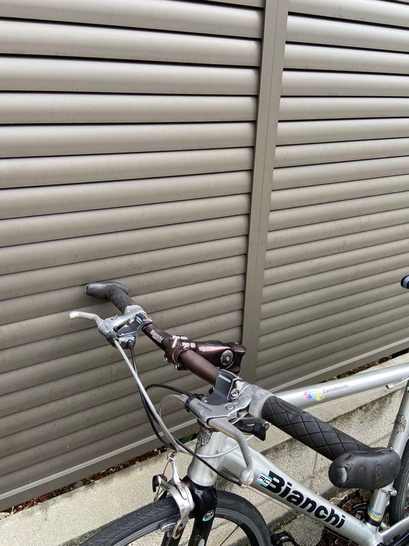 Bianchi カメレオンテ　C-SPORT CAMALEONTE roma21