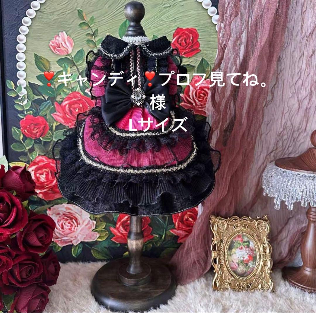 ❣️キャンディ❣️プロフ見てね。様犬服　猫服　ハンドメイド　ワンピース　わんちゃん