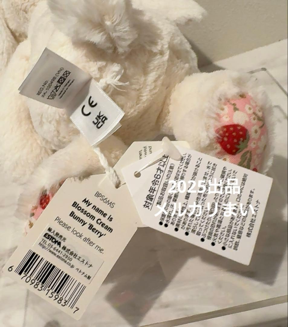 Blossom Cream Bunny 'Berry' （S）