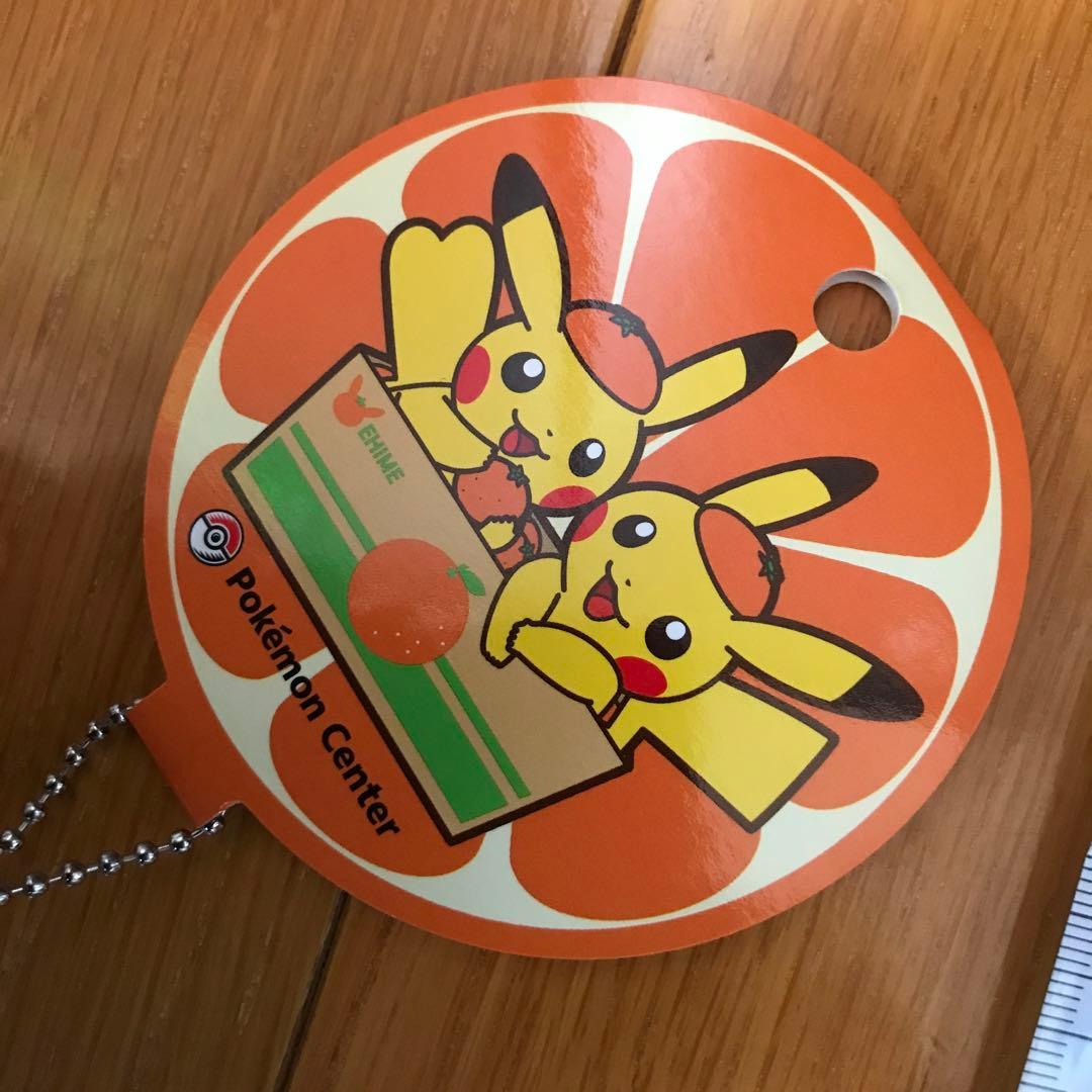 ペアピカチュウとえひめみかん　ぬいぐるみ　愛媛みかん　えひめみかん　愛媛　えひめ