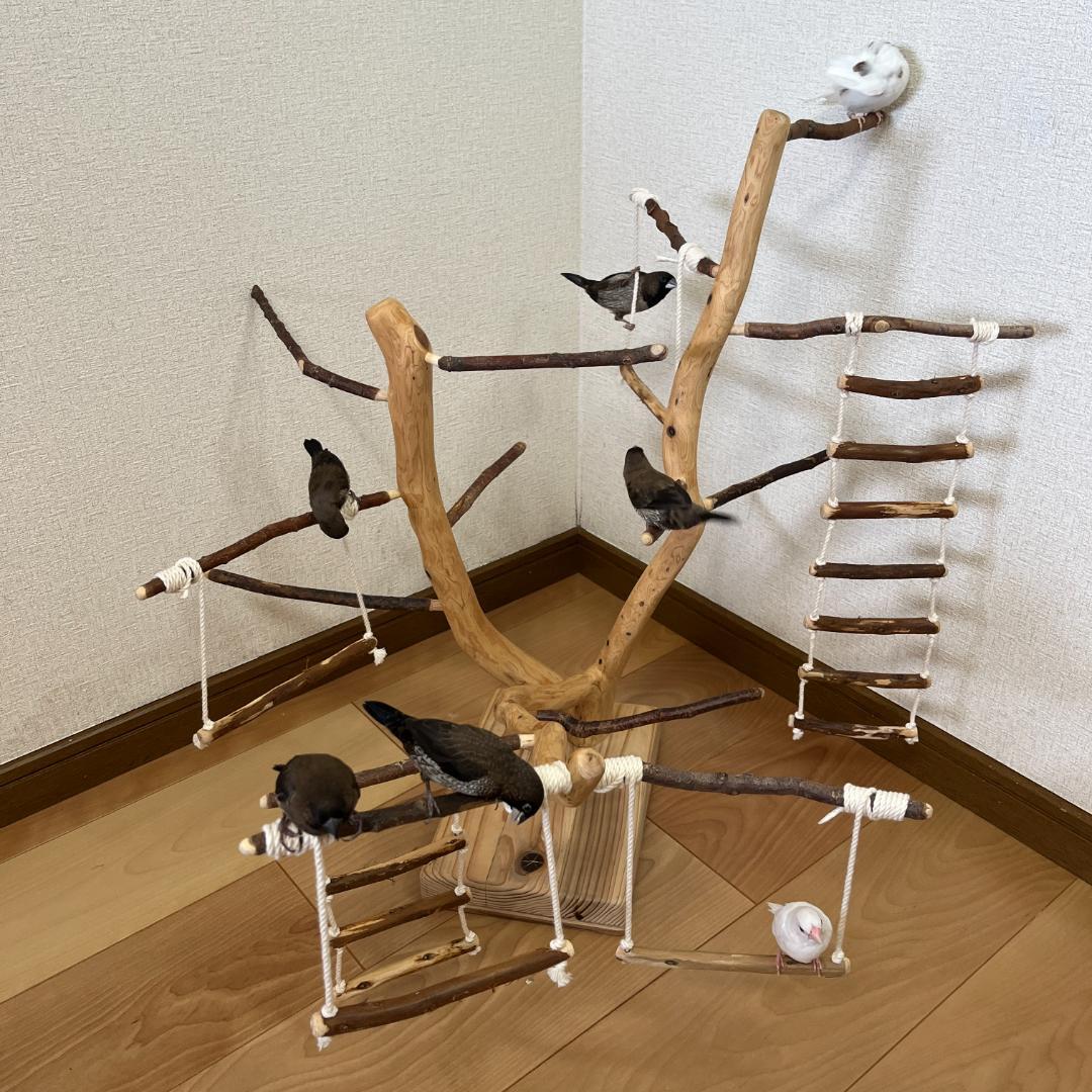 【小鳥用】あちこちブランコ&はしご付♬バードジム