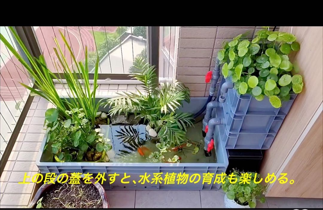 コンパクト小型　水槽池用万能フィルター 外部式飼育濾過器装置25w水中ポンプ付き
