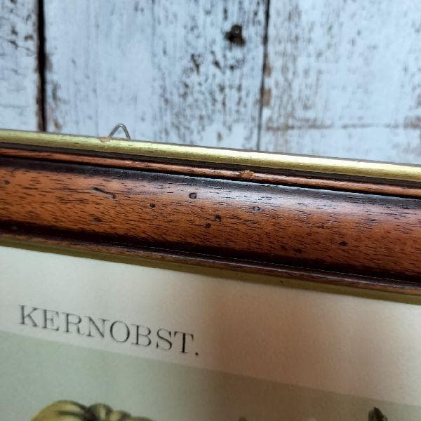 イタリア ヴィンテージ 大判 無垢 木枠 額装 アート パネル 大型 特大 美術