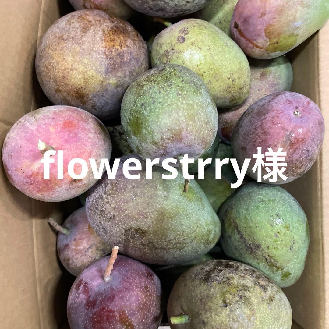 摘果マンゴー