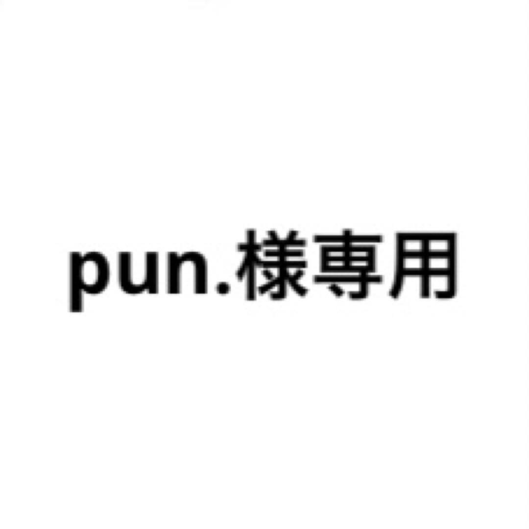 pun.ページ