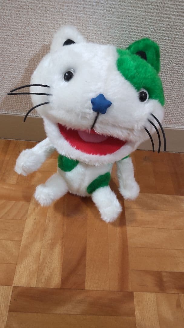 ポラ猫