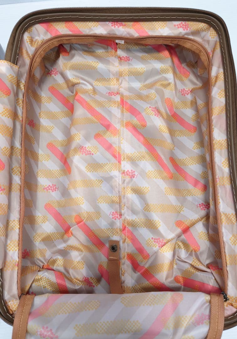 HaNT ハント ココント スーツケース 36L【超美品】