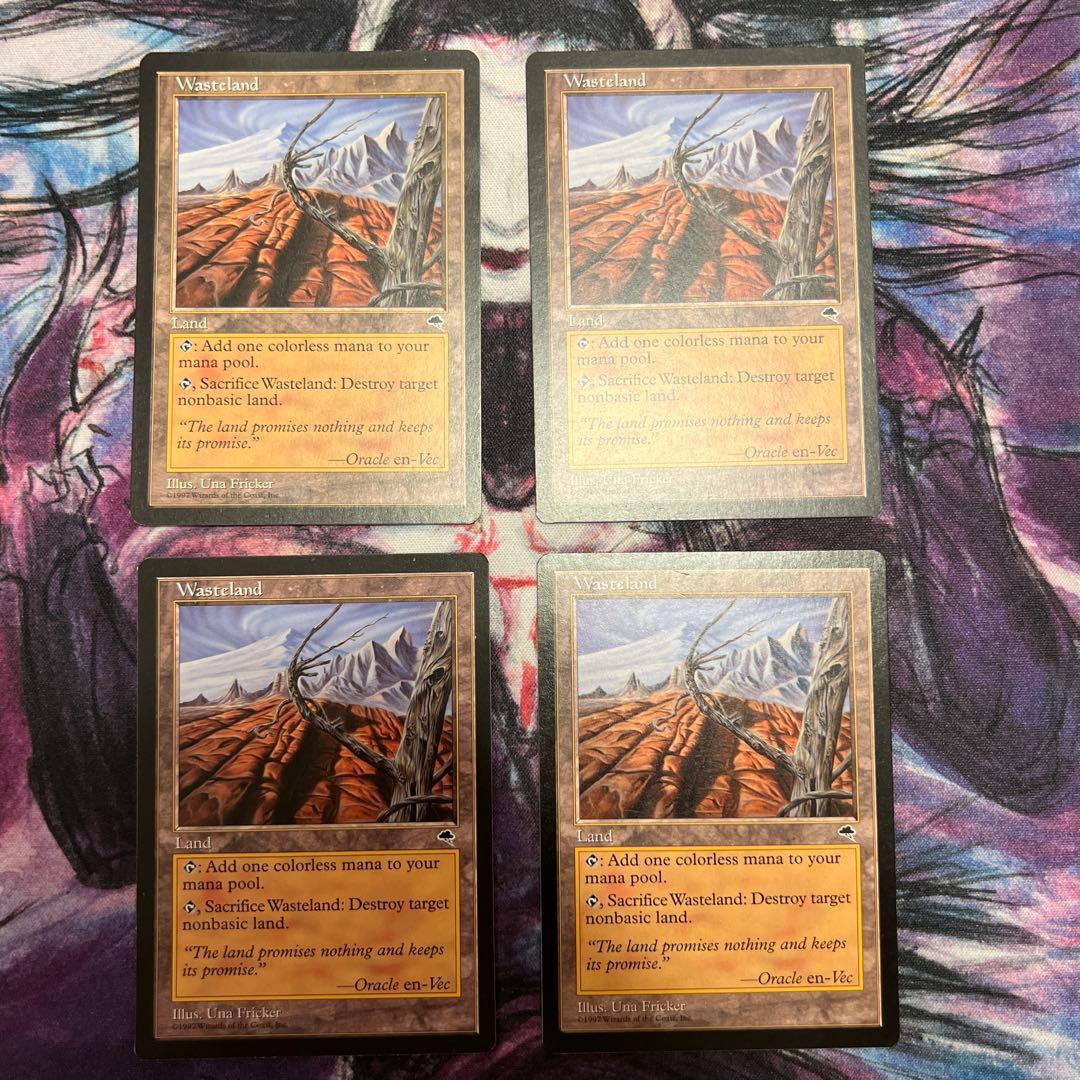 不毛の大地　英語版　4枚　mtg