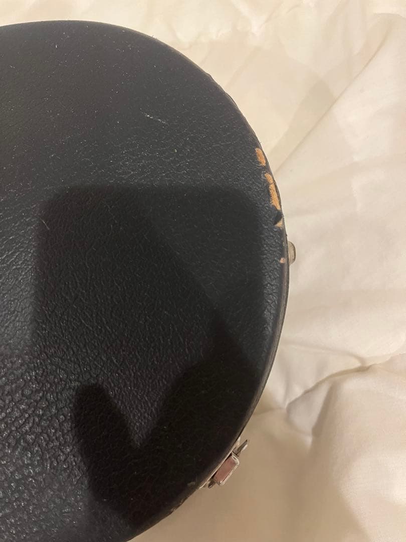 マンドリンと黒いケースセット