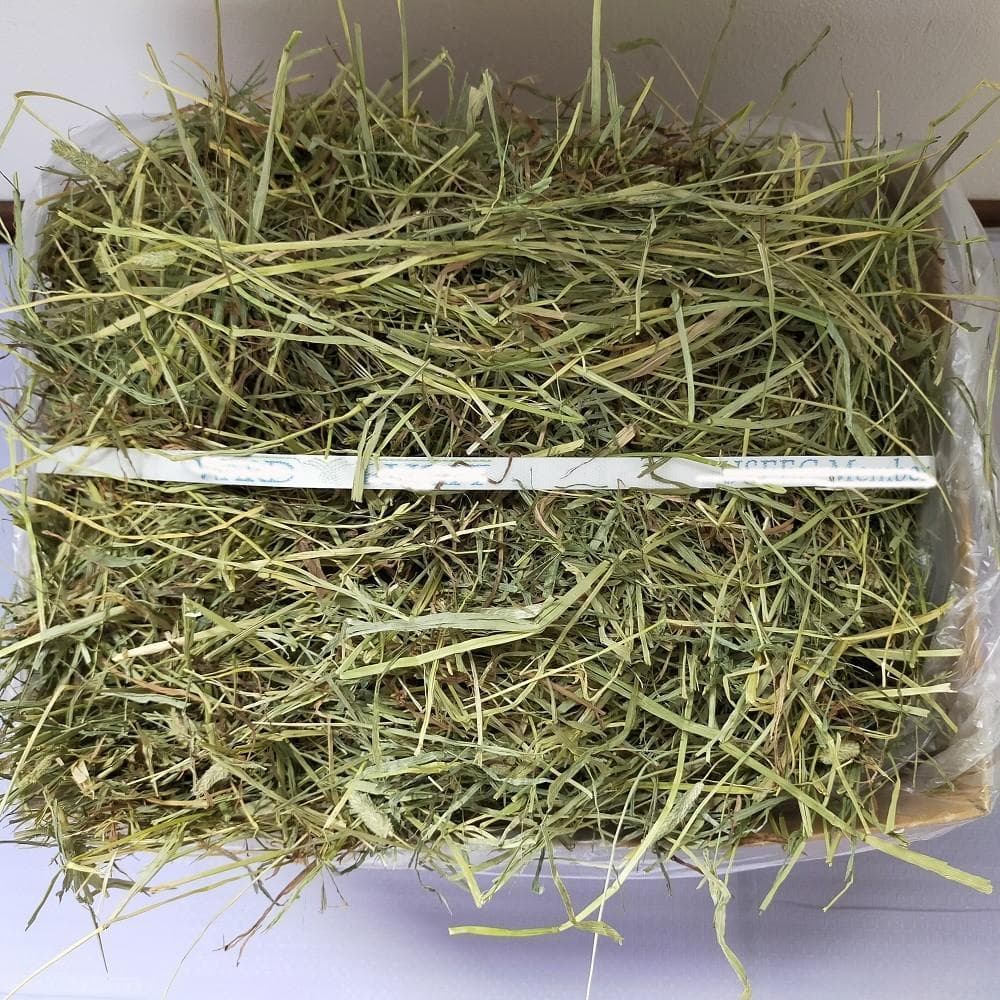 US産 チモシー 60kg ２番刈 ソフトスーパープレミアム