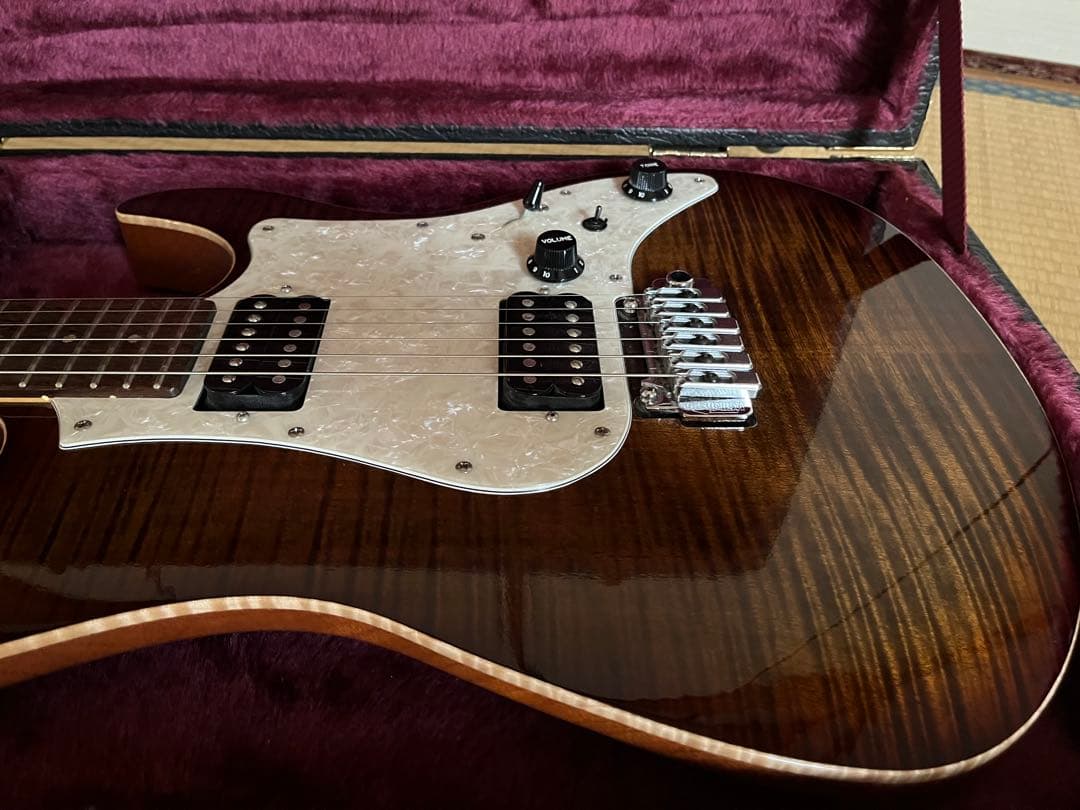 Fujigen expert os 2010年製