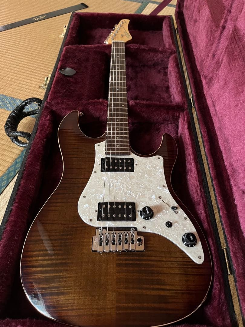 Fujigen expert os 2010年製