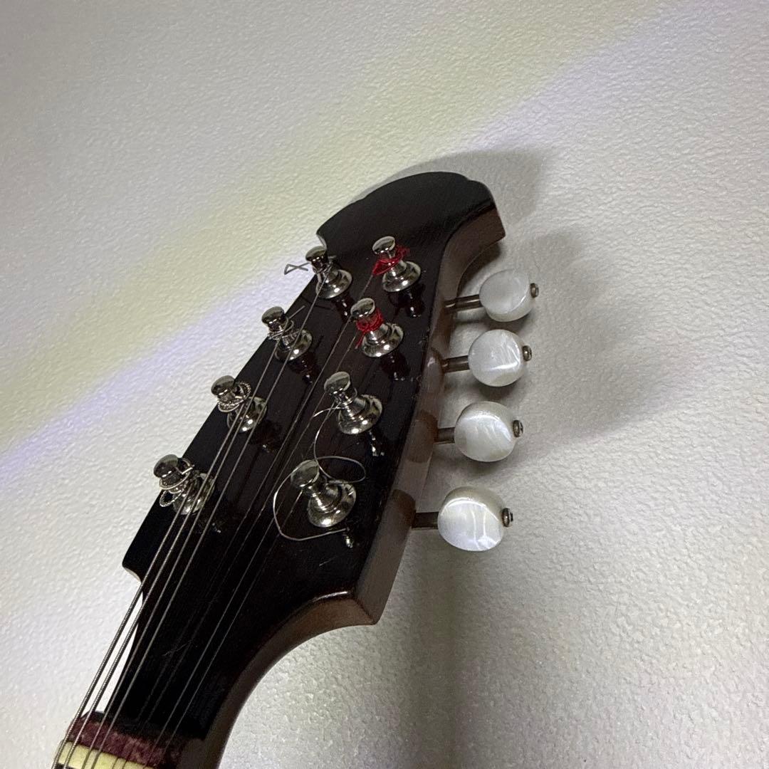 藤丸常夫　No.artistマンドリン