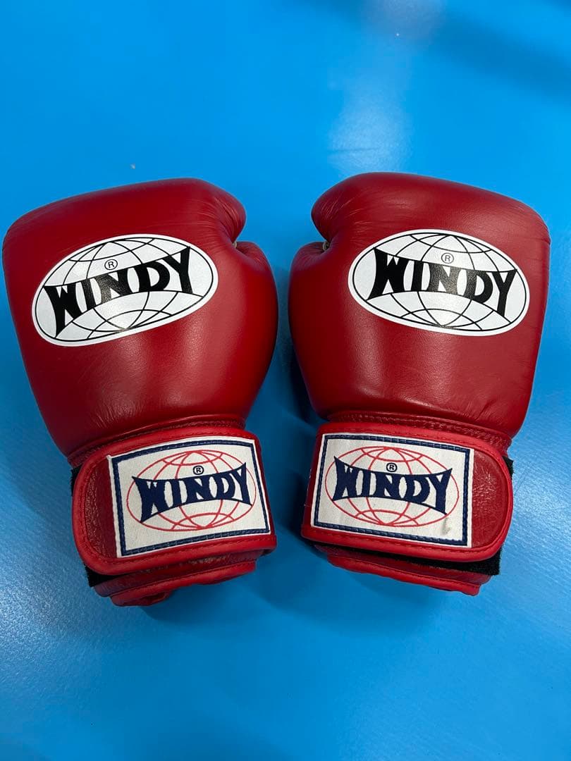 WINDY ボクシンググローブ 10 oz 赤