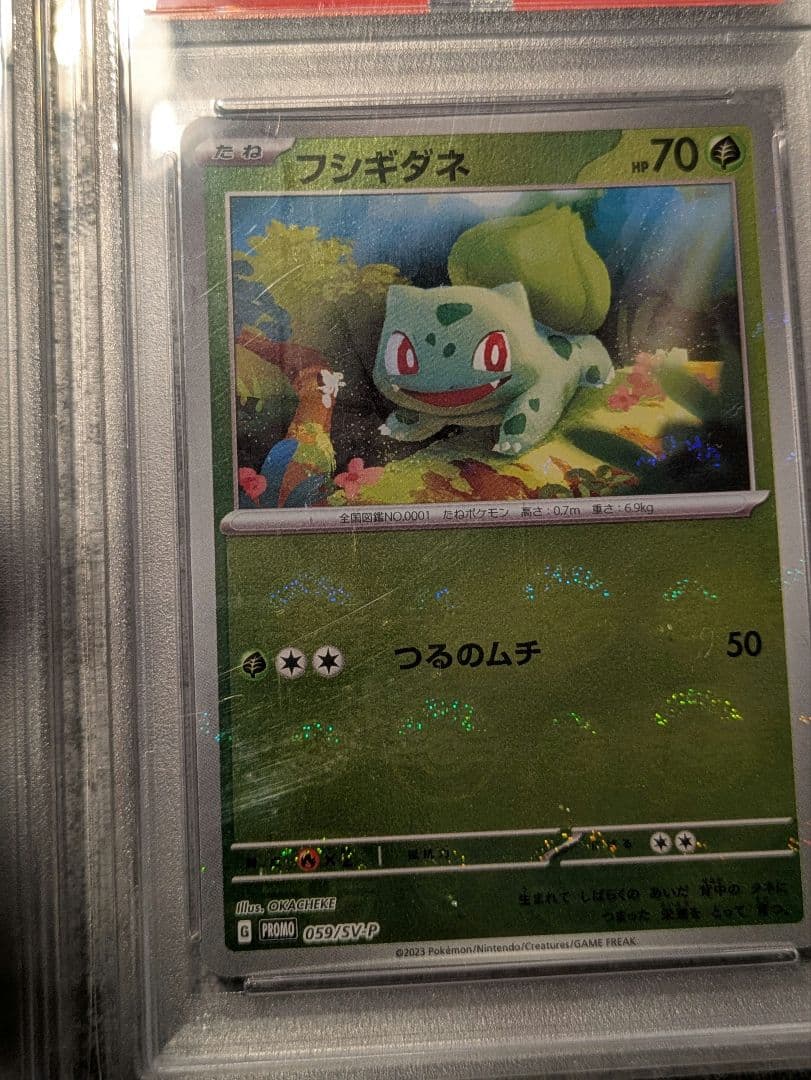 151 カードファイルセット　プロモ御三家　PSA10３連番