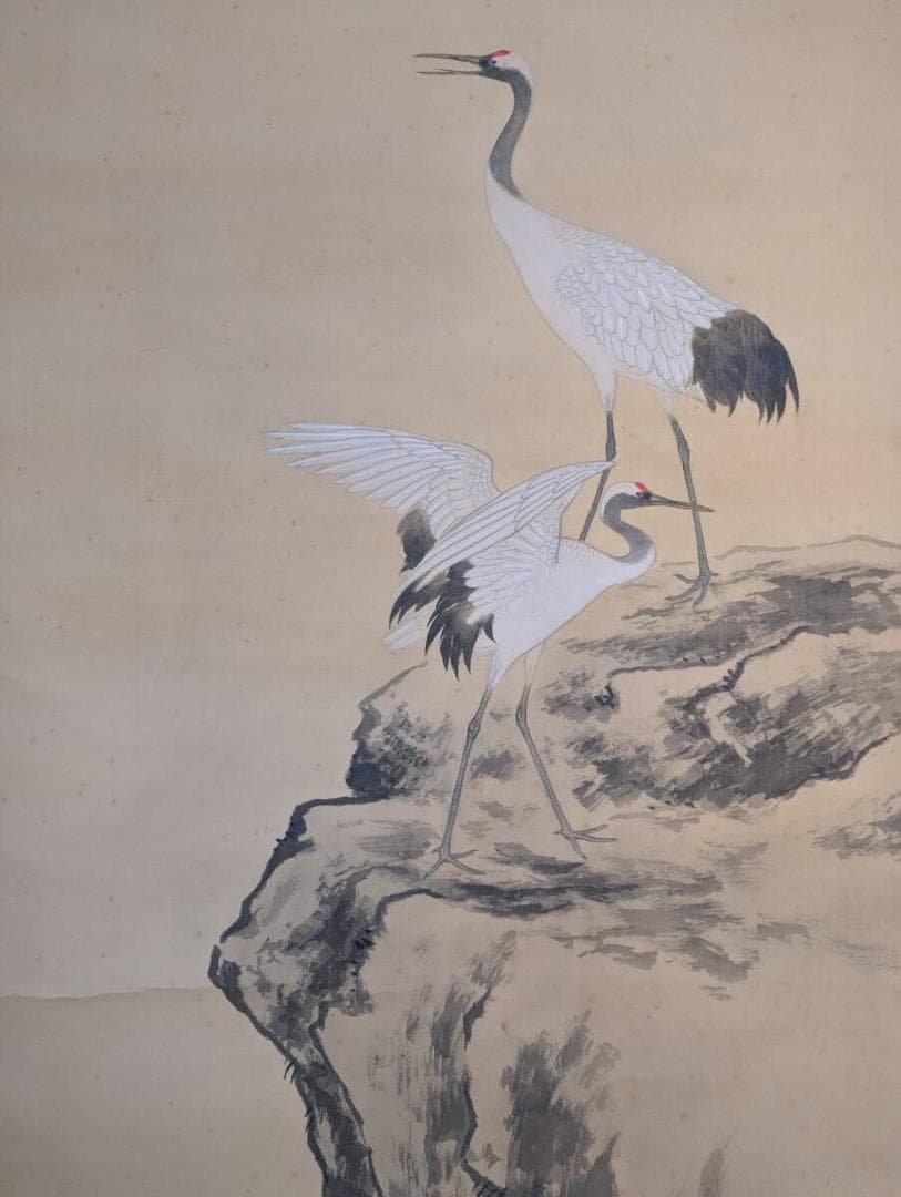 【真作】掛軸　藤原徳星　蓬莱双鶴　端正な墨彩画　吉祥画題　二重箱入　T121