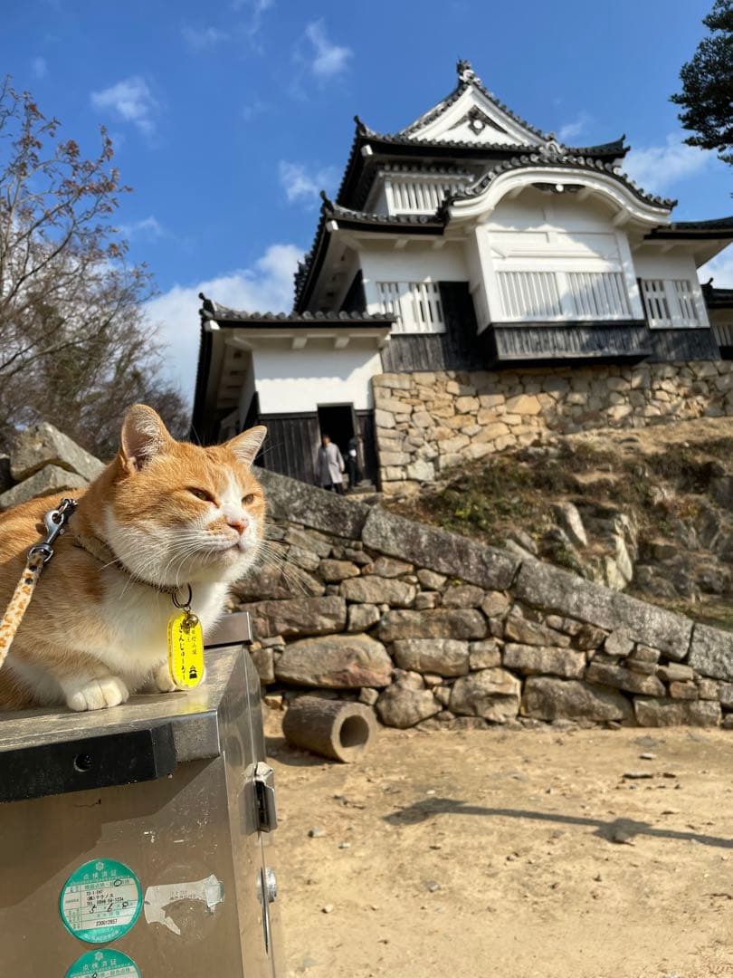 パーン