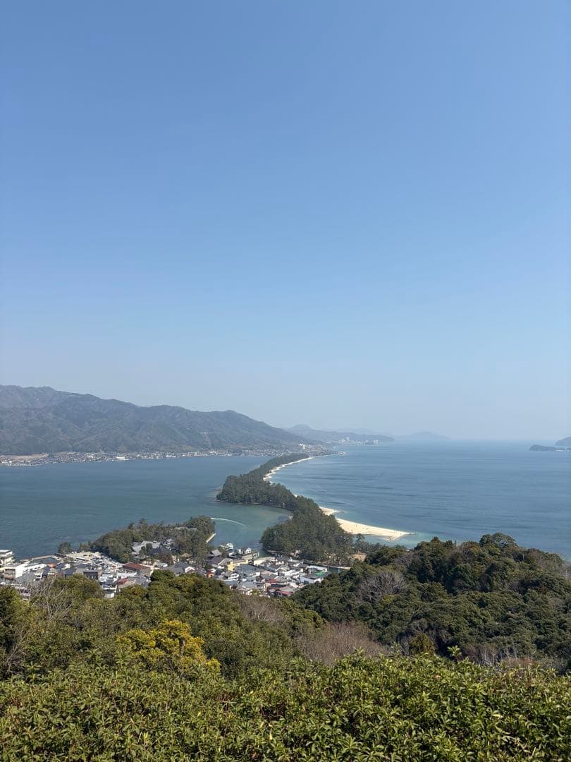 もずく