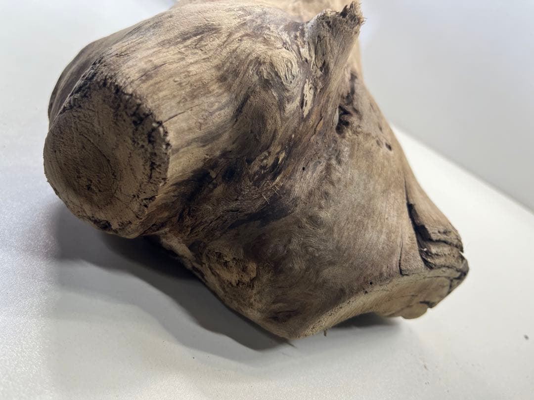 R64特大流木 アク抜き済み流木 爬虫類シェルター 登り木 インテリア 生け花