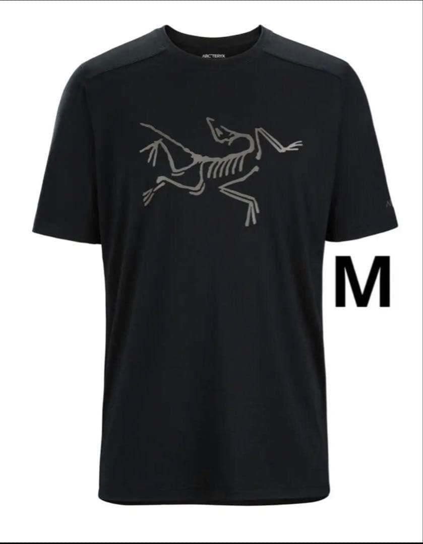 ARC'TERYX IONIA MERINO WOOL LOGO M メンズM