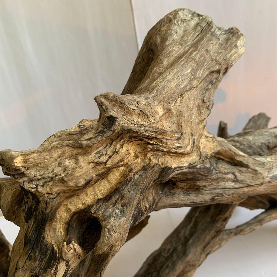 銀*時様 アク抜き済み流木　No.10 超レア型　沈水確認済