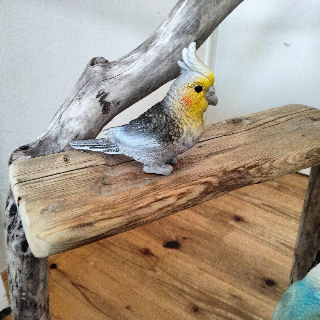 バードアスレチックジム大型 ㊷ 天然木 自然木 流木 インコ おもちゃ