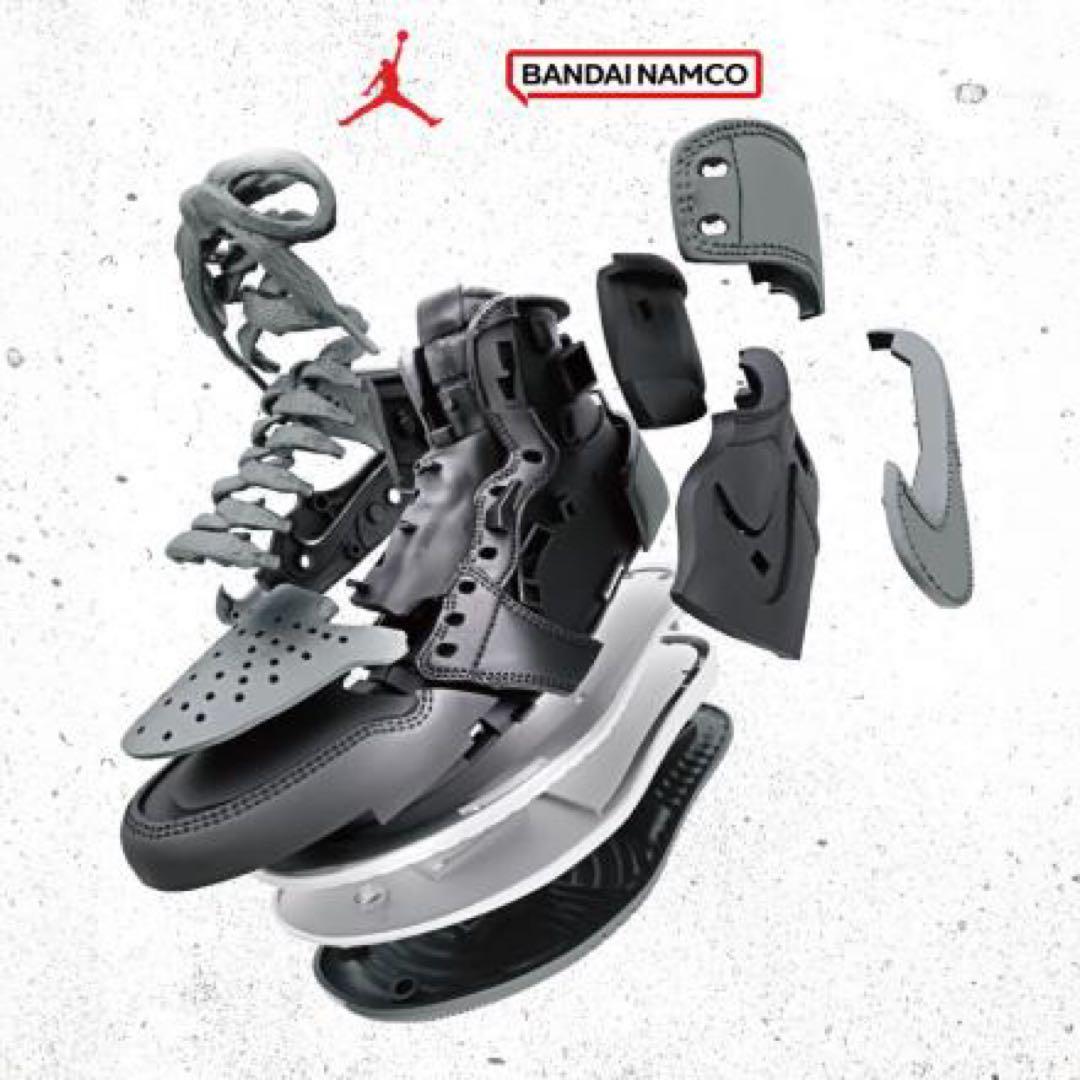 JORDAN １SHADOW AND REVERSE SHADOW KIT