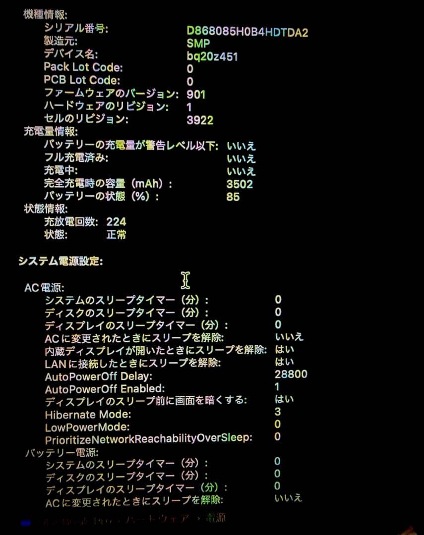 【動作確認・初期化済】 〈最終価格〉〈即日発送〉MacBook Pro
