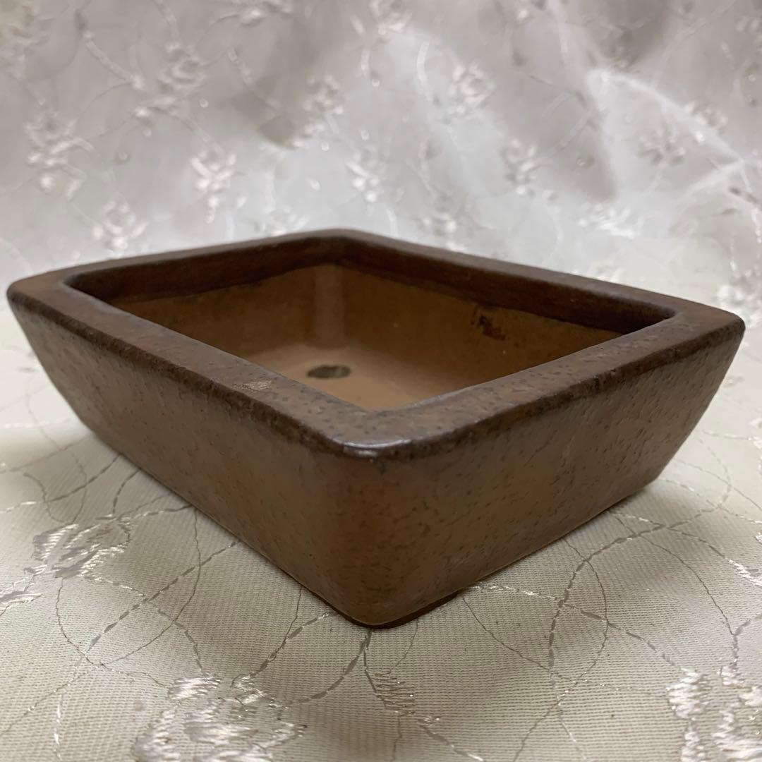 明正　盆栽鉢