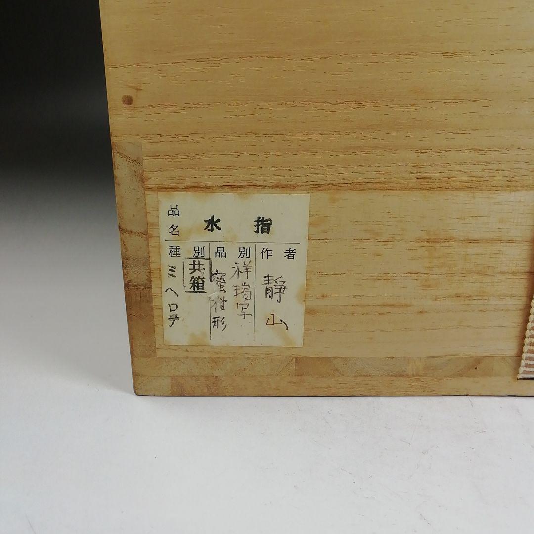 Ｗ６５　水指　『祥瑞写　蜜柑』『静山 造』　共箱　茶道具