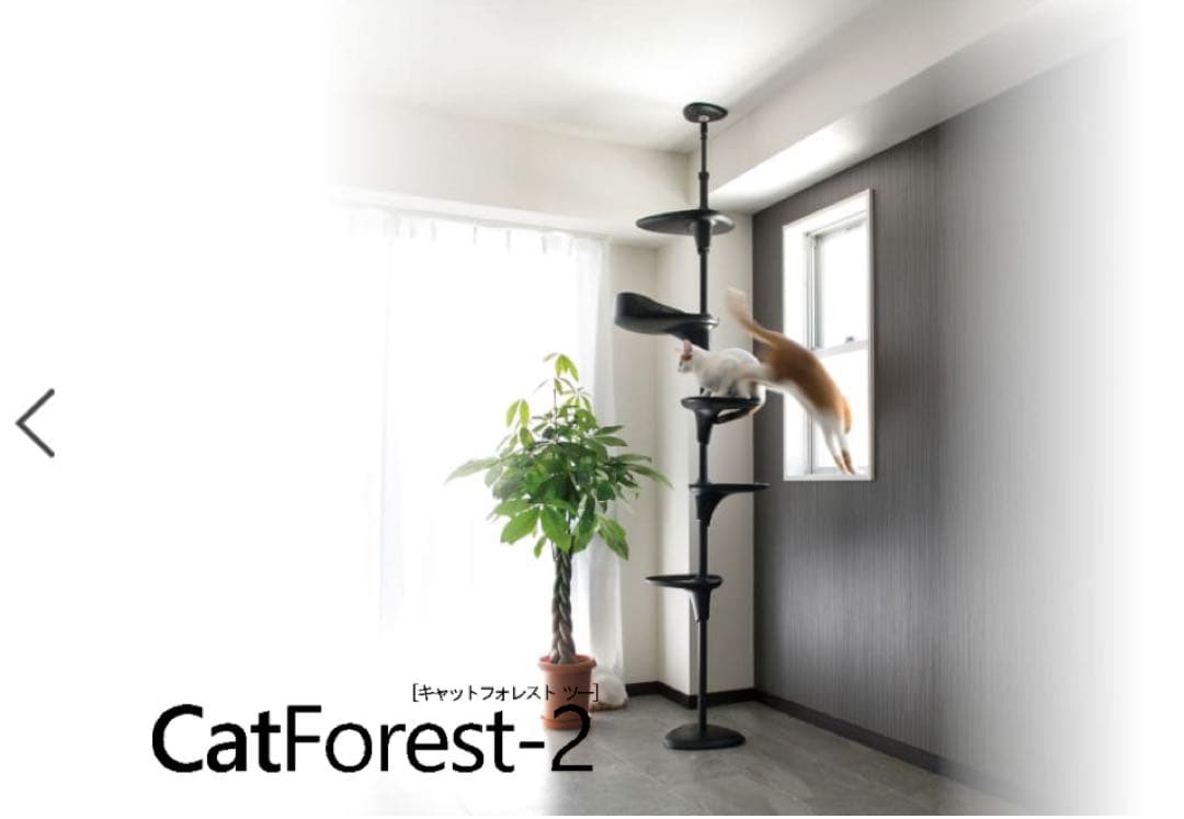 OPPO CatForest-2 キャットフォレスト2 ブラック
