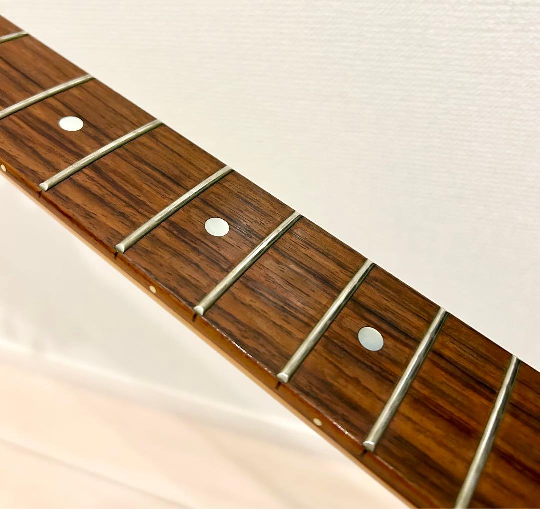 ギター SCHECTER/TEMPEST