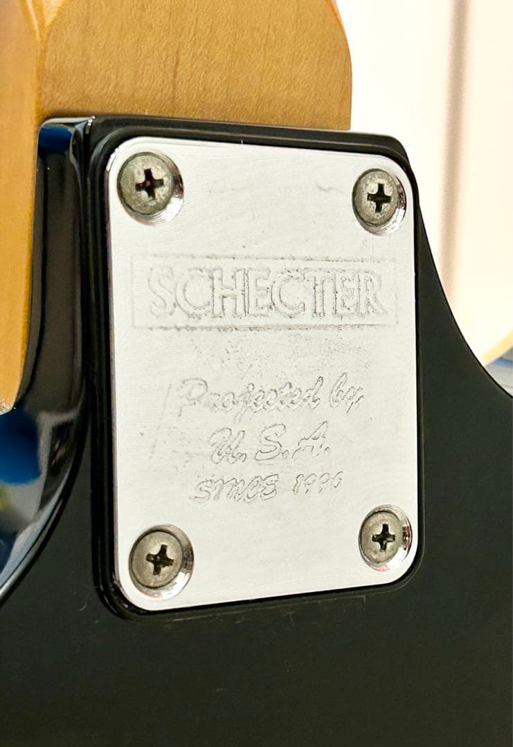 ギター SCHECTER/TEMPEST