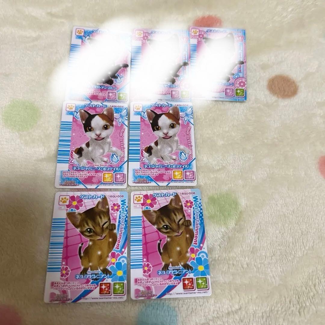 期間限定大幅値下げワンタメカード　ゲストカードネコ裏表カード