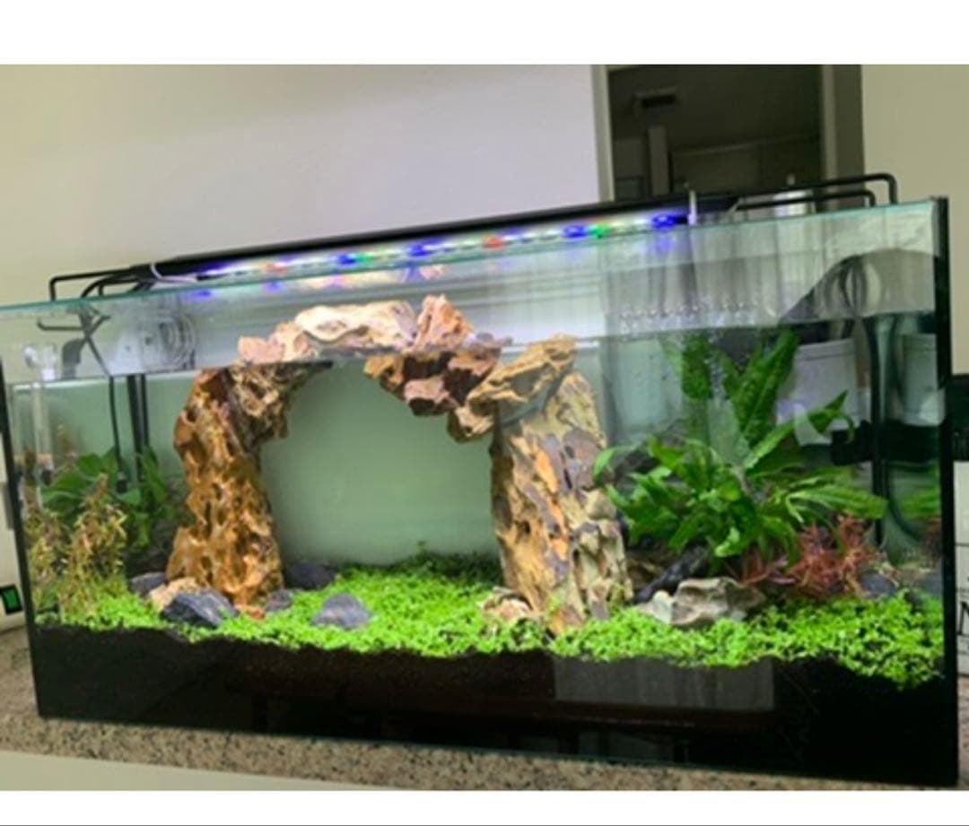 お値下げ☆ 水槽用自然石（気孔石）セット 11個　岩組みレイアウトに☆