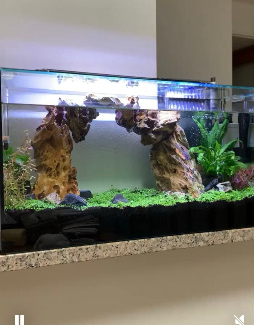 お値下げ☆ 水槽用自然石（気孔石）セット 11個　岩組みレイアウトに☆