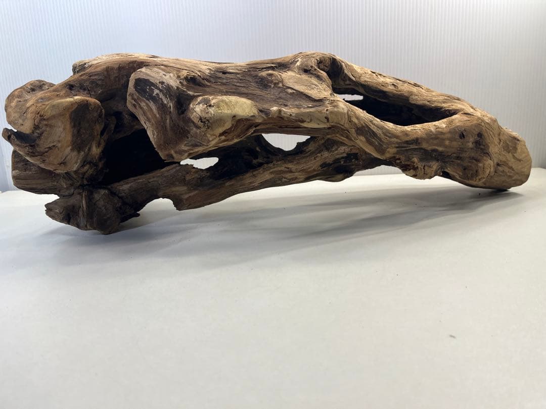 R63アク抜き済み流木 爬虫類シェルター 登り木 インテリア 生け花