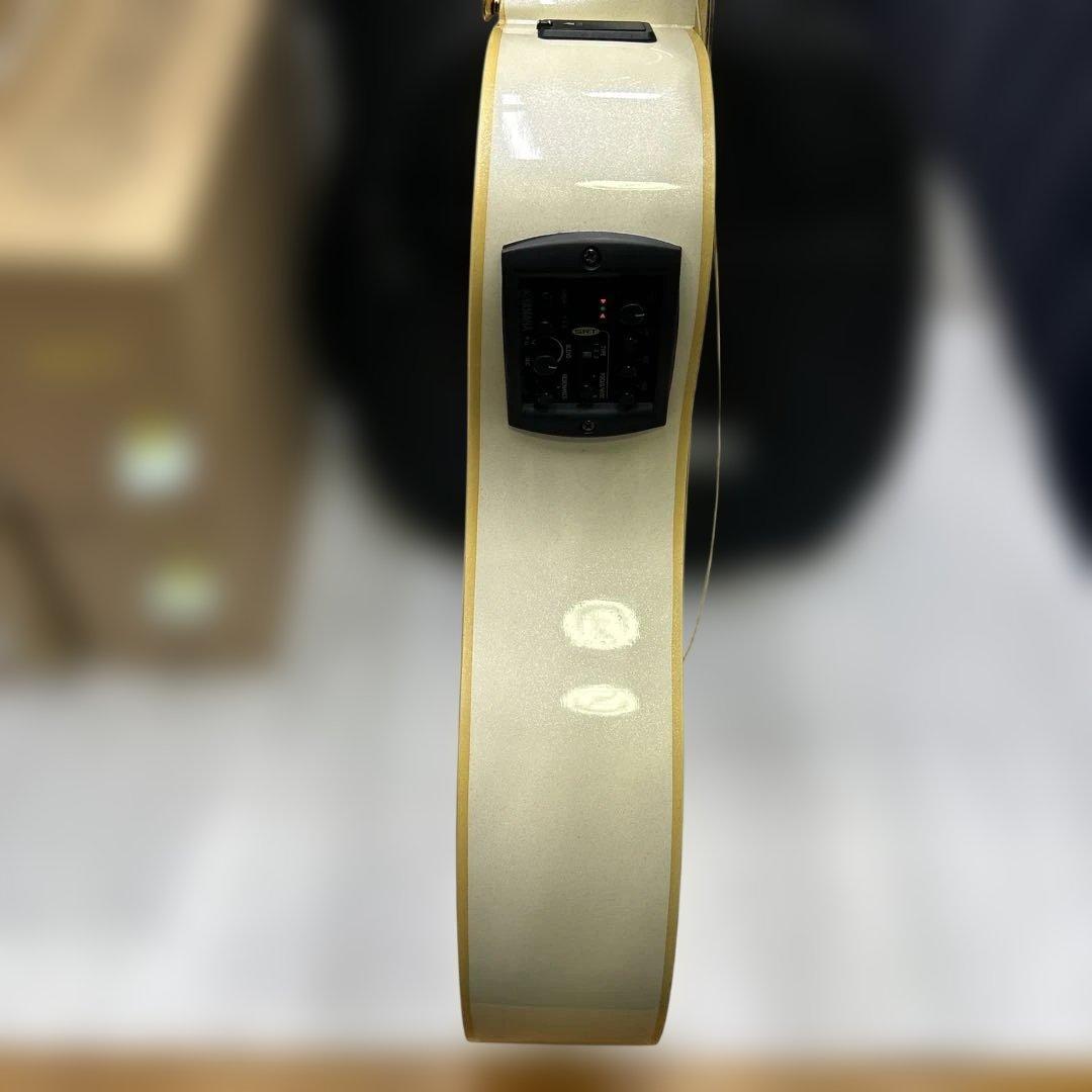 6828 APX1000(PW) ヤマハ エレアコ パールホワイト ソフトケース