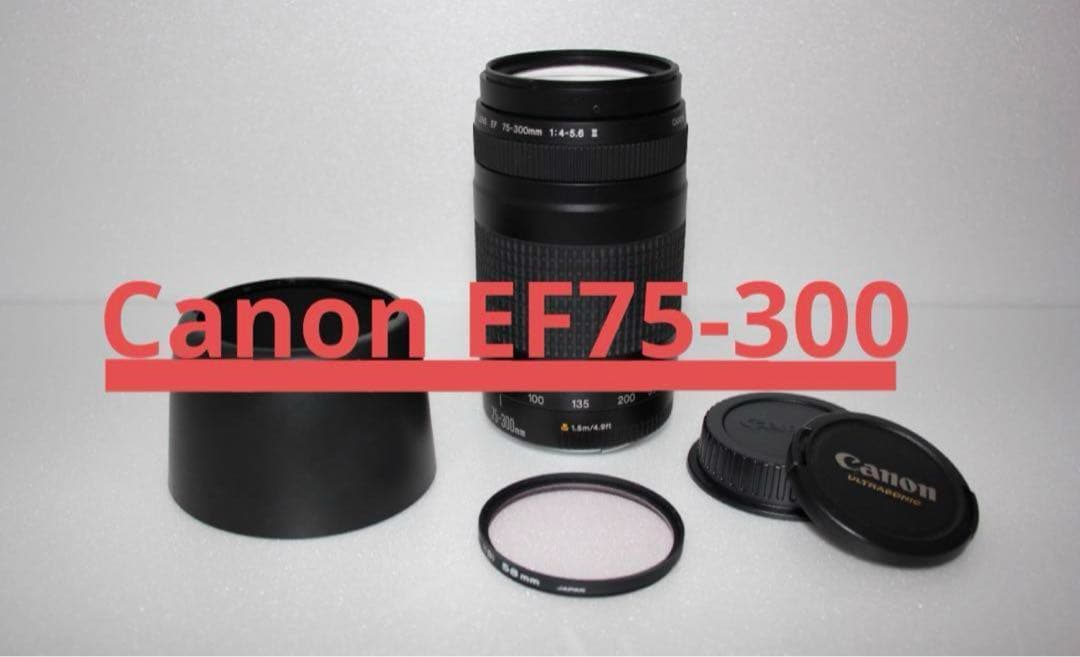 ☆イベント/望遠レンズ/美品/スポーツ/Canon EF75-300㎜☆