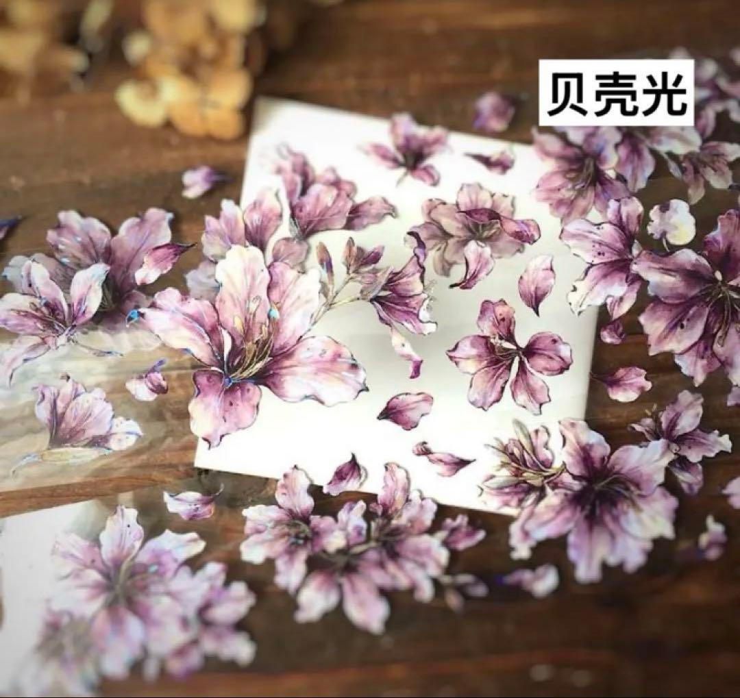 くらげ