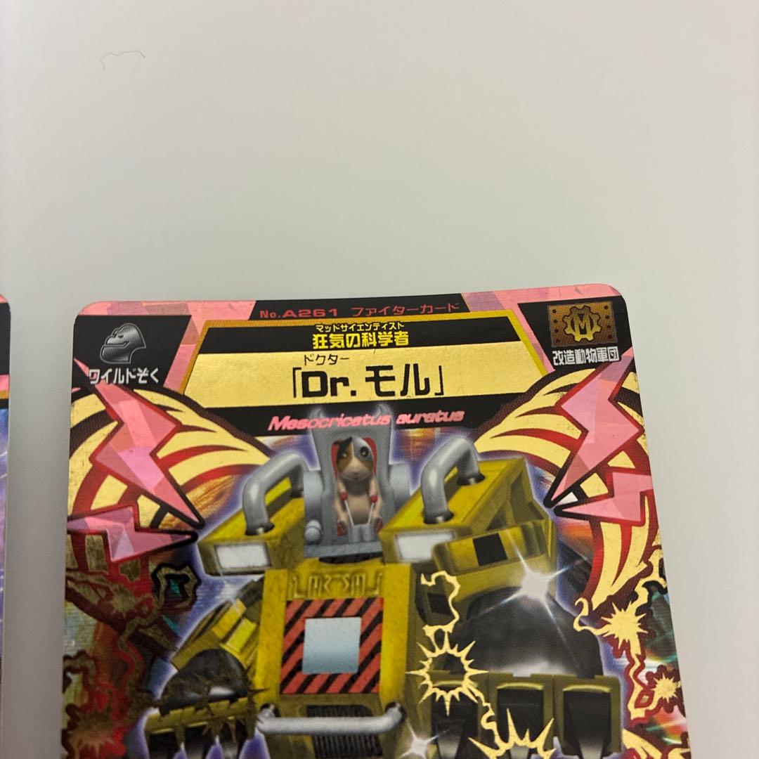 アダムん
