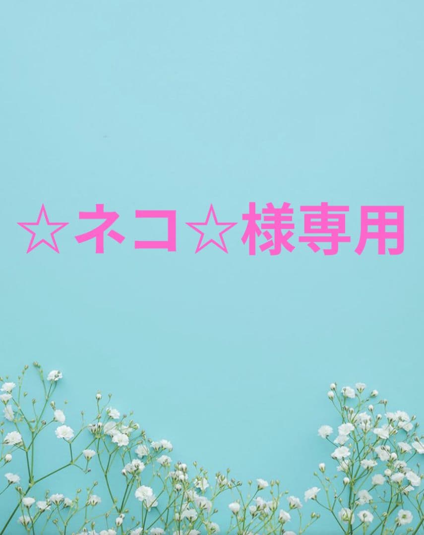 ☆ネコ☆