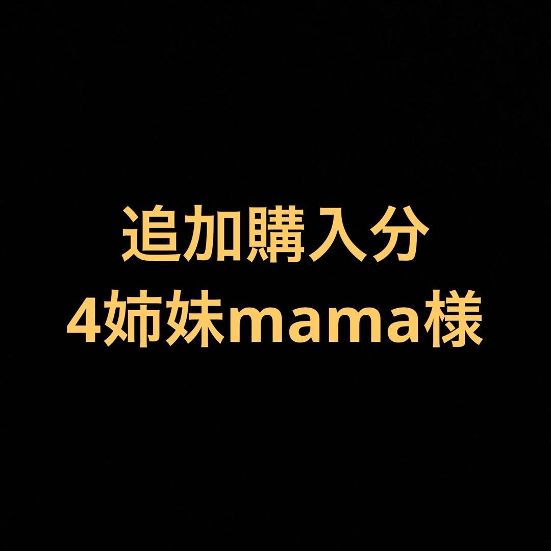 追加分