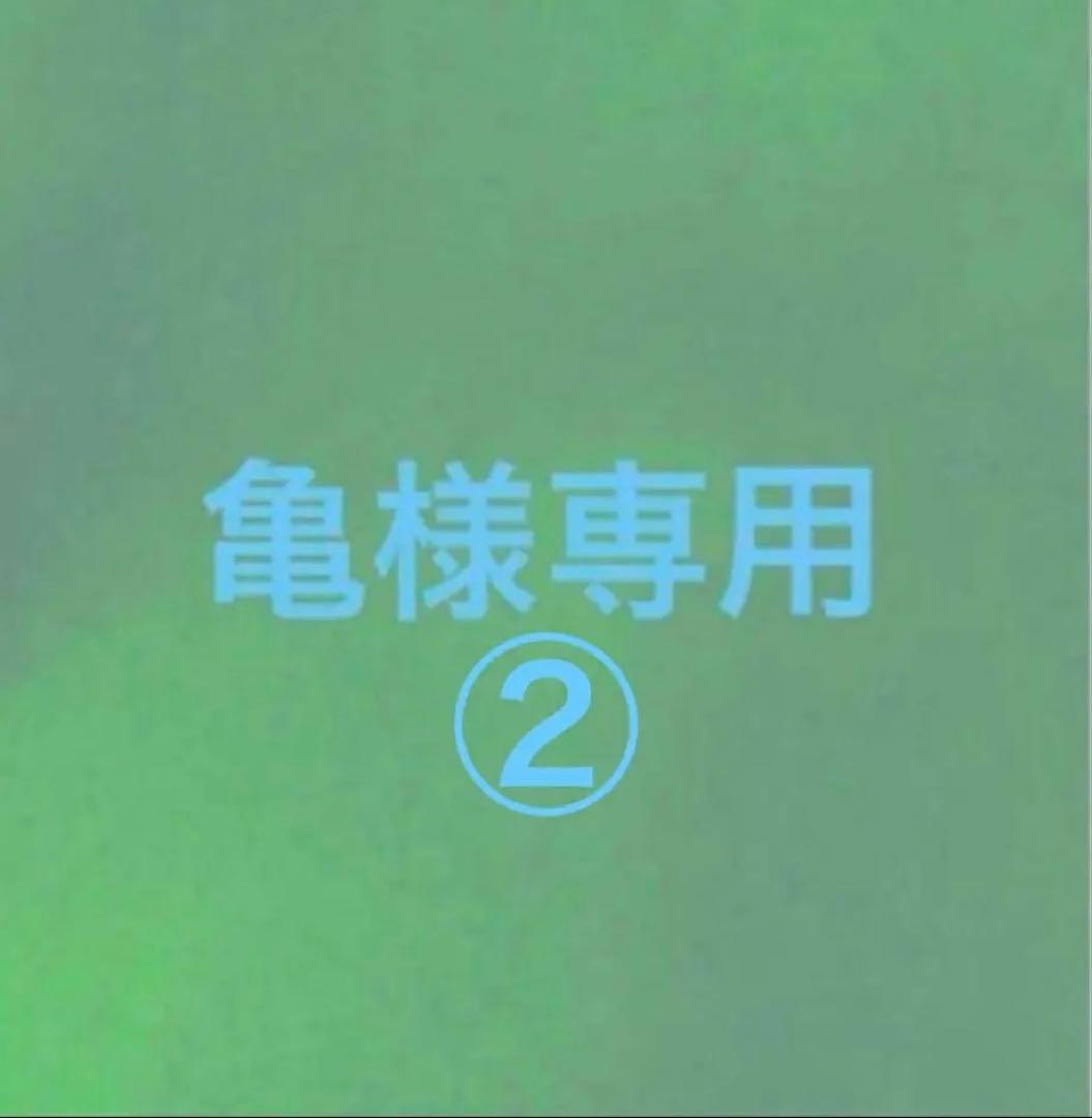 亀②