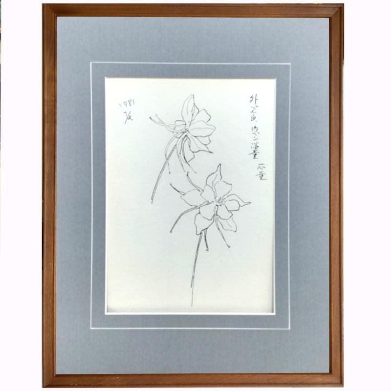 ☆坂本直行☆「 西洋オダマキ（イェロークイーン）」ペン画　大衣　未使用！