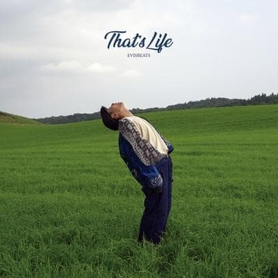 That's Life / EVISBEATSアナログレコード
