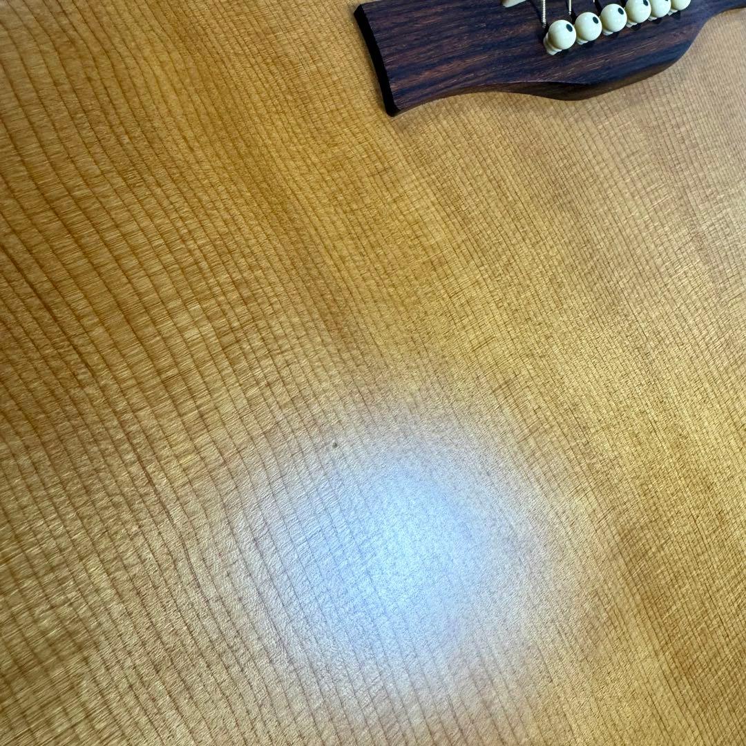【訳あり】 Seagull シーガル AT SG T35 エレアコ アコギ