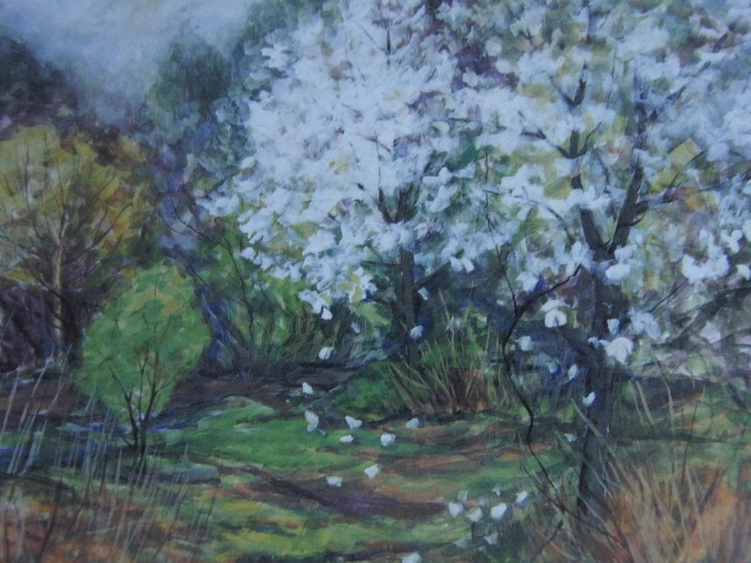 坂口かほる、【雨降る山の春】、希少な額装用画集より、新品額装付、状態良好