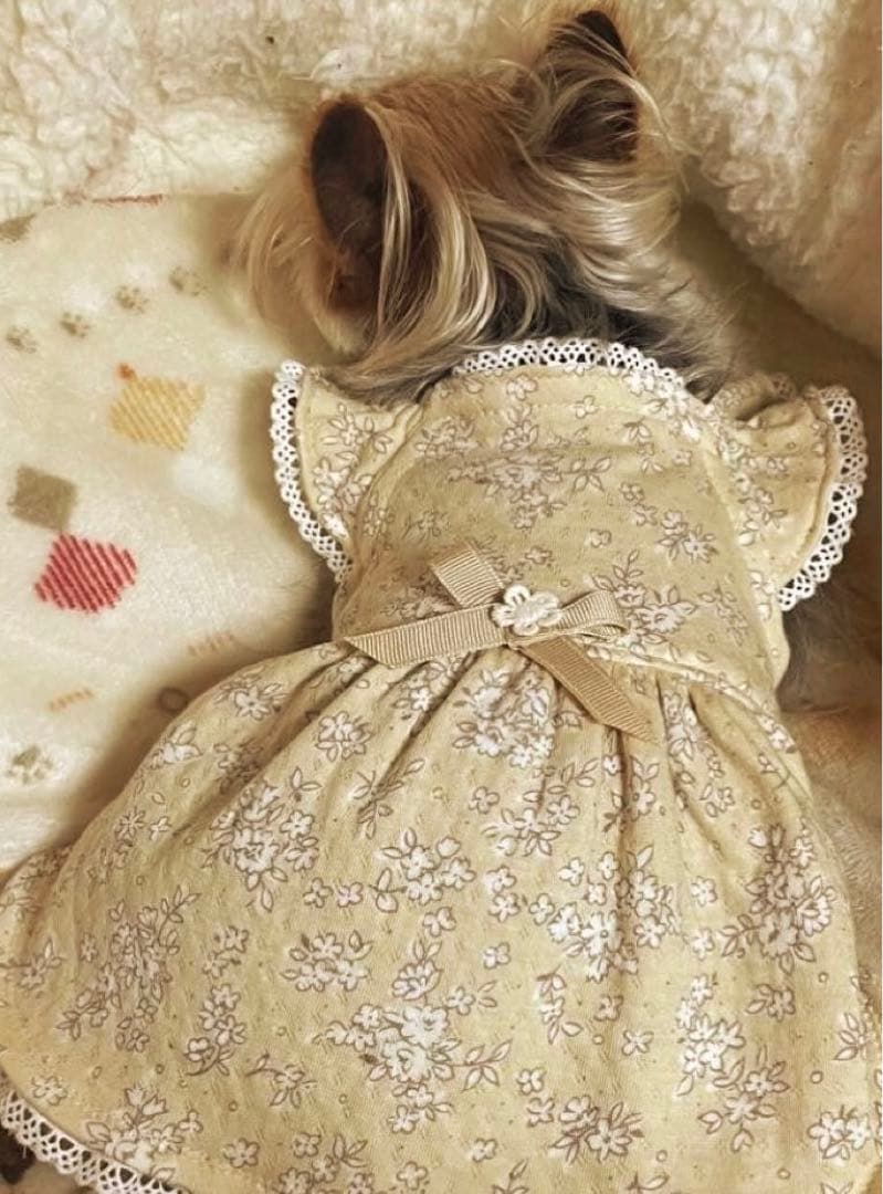 ハンドメイド犬服　花柄接結ニットのヒラヒラお袖キャミワンピ