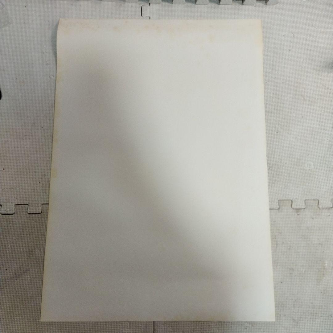 資生堂　ポスター すこやか年、うつくし月、女の1984